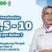 pendamping produk halal